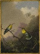 Martin Johnson Heade, Two Humming Birds